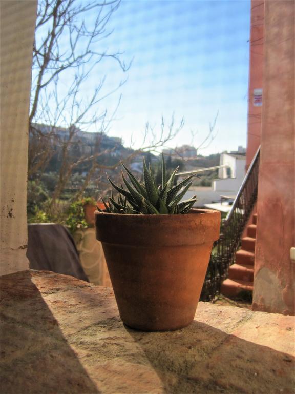La Casina De Piedra Encanto - Parte Antigua De Caces מראה חיצוני תמונה